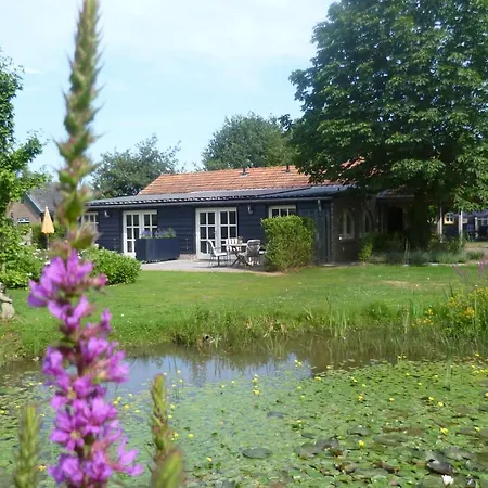 Beukenhof Bed & Breakfast