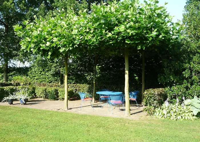 Beukenhof Panzió Molenschot